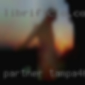 Partner Tampa