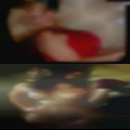 Sex in the wood