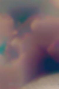 dating survey for in Springhill FL couples dating survey for in Springhill FL couples